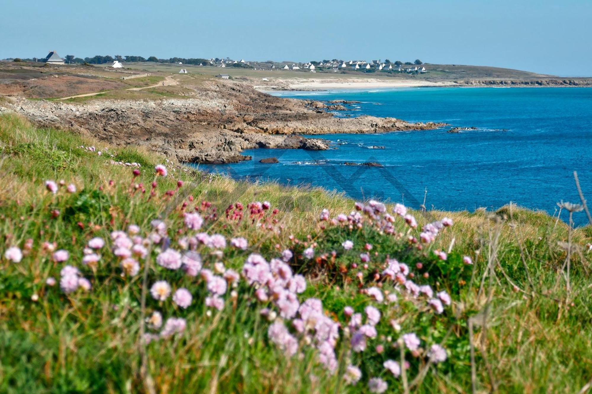 Localise - M11B - A La Pointe - Maison De Vacances Avec Jardin Entierement Clos - A 50M De La Plage - 700M Du Centre - Tout A Pied - Wifi Inclus - Draps Inclus - Animaux Bienvenus Guilvinec Exteriör bild